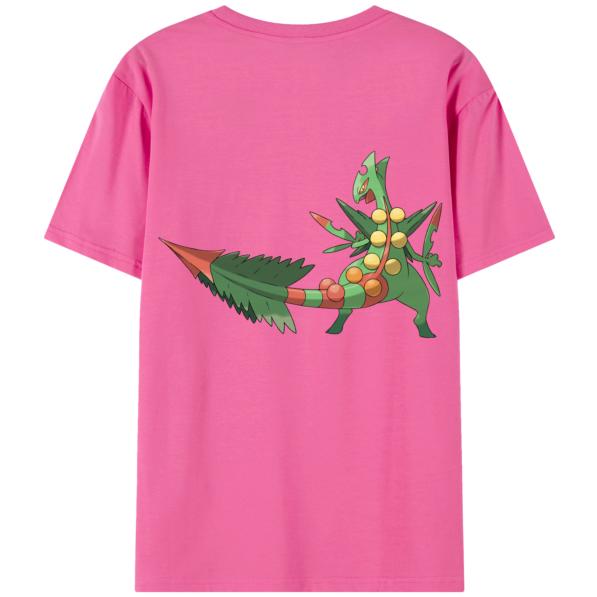 （画像用） ポケットモンスター Pokémon レディース半袖Tシャツ(バックプリント)